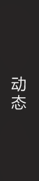 动态